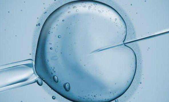 在什么医院可以做代孕手术?&供卵试管对子宫